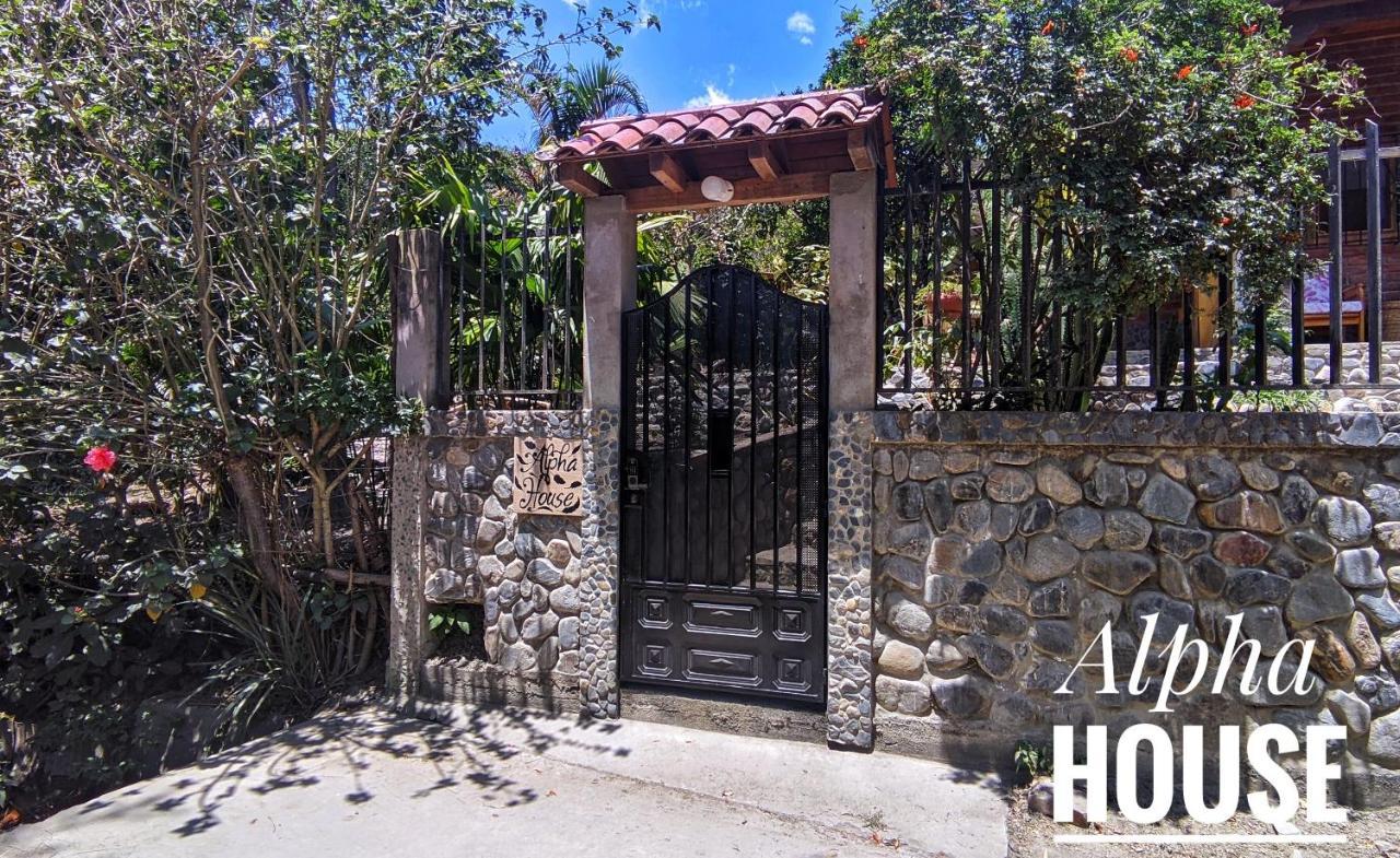 Appartement Alpha House à Vilcabamba Extérieur photo